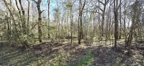 TBD County Road 2500, Liberty, TX 77575