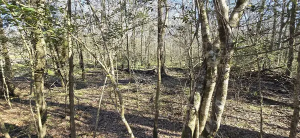 TBD County Road 2500, Liberty, TX 77575