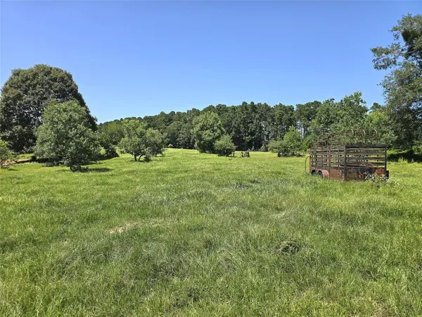 740 Ole Miss, Livingston, TX 77351