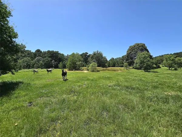 740 Ole Miss, Livingston, TX 77351