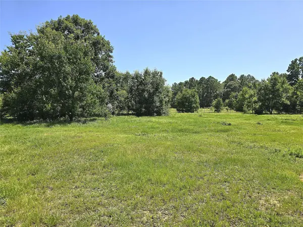 740 Ole Miss, Livingston, TX 77351