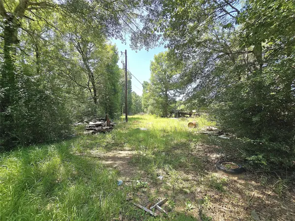 1031 Plantation DR, Livingston, TX 77351