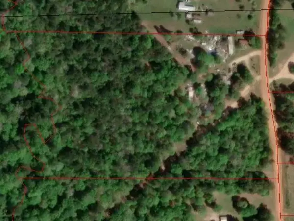 1031 Plantation DR, Livingston, TX 77351