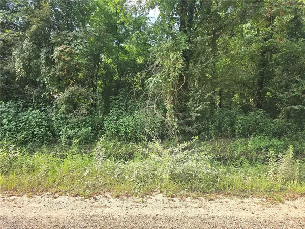 00 County Road 2500, Liberty, TX 77575