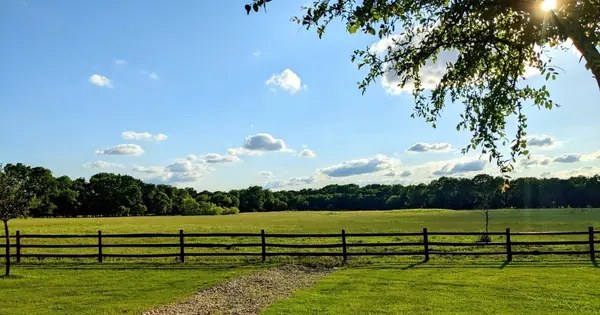 feature image of What Changes When Summer Ends in the East Texas Market