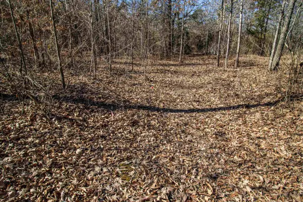 TBD Green Forest Ln, Texarkana, TX 75501
