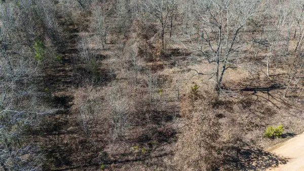 TBD Green Forest Ln, Texarkana, TX 75501