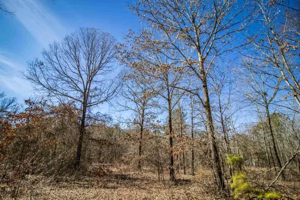 TBD Green Forest Ln, Texarkana, TX 75501