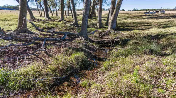 TBD County Road SE 4150, Mount Pleasant, TX 75455