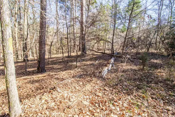 TBD PR 8706, Jefferson, TX 75657