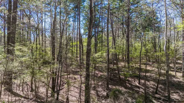 TBD PR 8706, Jefferson, TX 75657