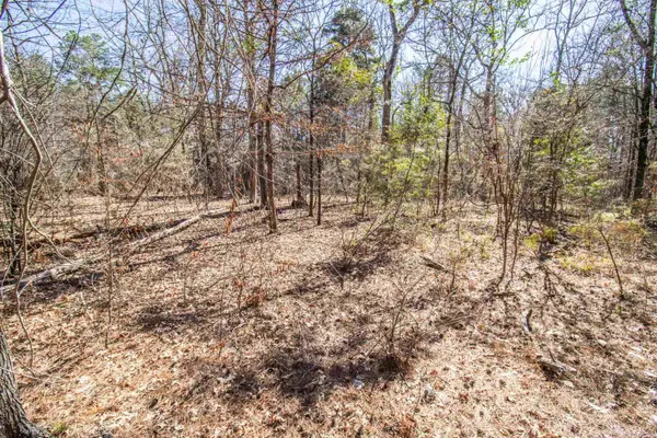 TBD PR 8706, Jefferson, TX 75657