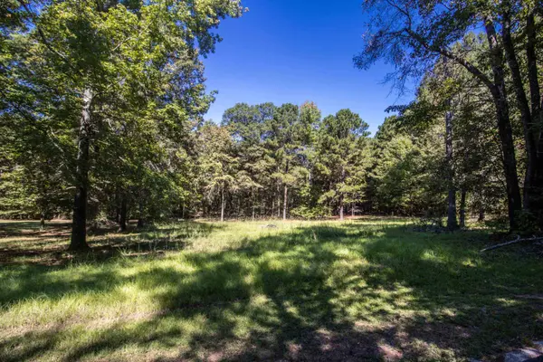 TBD Private Road 7220, Jefferson, TX 75657