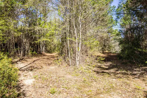 0 Pond Drive, Waskom, TX 75692