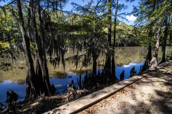 TBD Private Road 7219, Jefferson, TX 75657