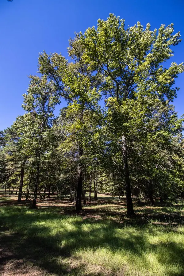 TBD Private Road 7220, Jefferson, TX 75657