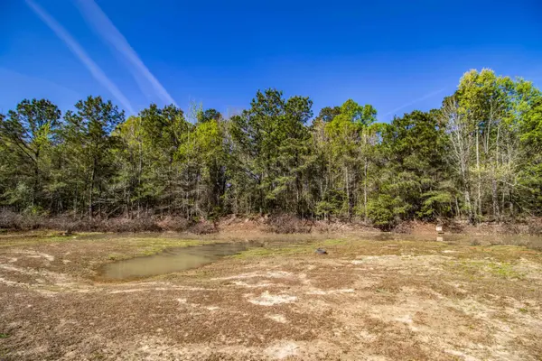 0 Pond Drive, Waskom, TX 75692