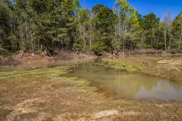 0 Pond Drive, Waskom, TX 75692