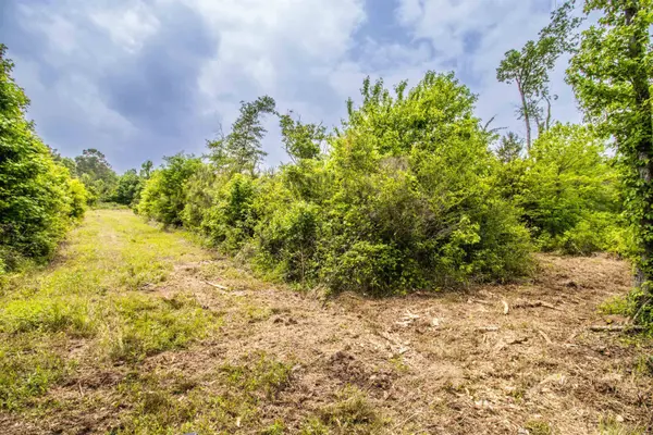 962 Cowpen Rd, Karnack, TX 75661