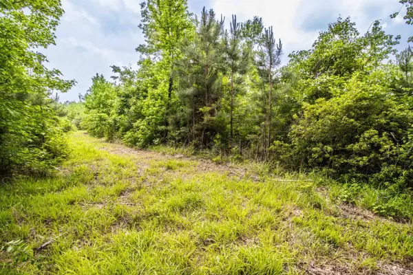 962 Cowpen Rd, Karnack, TX 75661