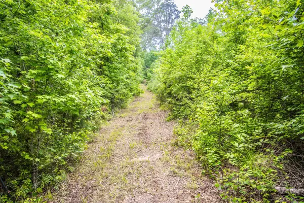 962 Cowpen Rd, Karnack, TX 75661