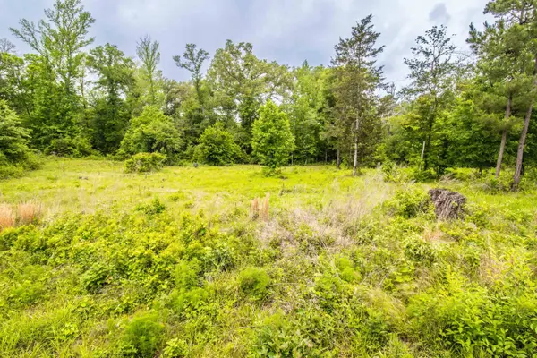 962 Cowpen Rd, Karnack, TX 75661