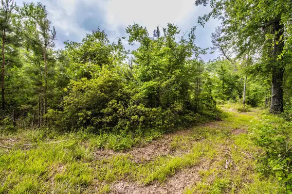 962 Cowpen Rd, Karnack, TX 75661