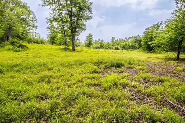 962 Cowpen Rd, Karnack, TX 75661