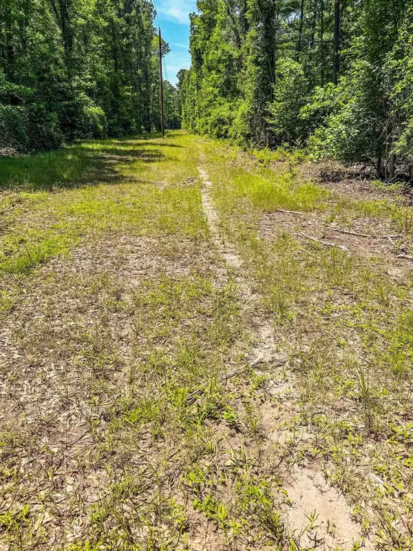 TBD County Road 3420, Jefferson, TX 75657