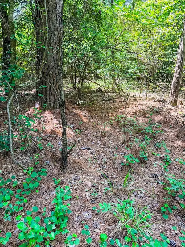 TBD County Road 3420, Jefferson, TX 75657