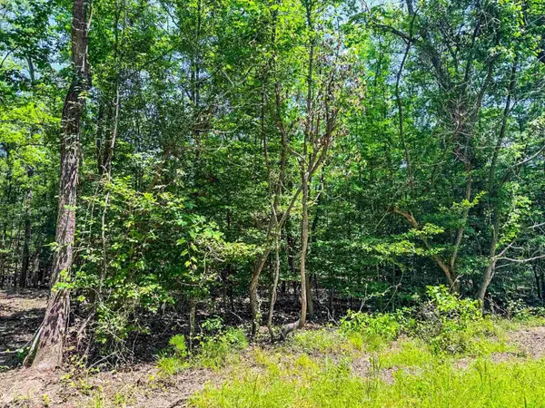 TBD County Road 3420, Jefferson, TX 75657