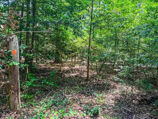 TBD County Road 3420, Jefferson, TX 75657