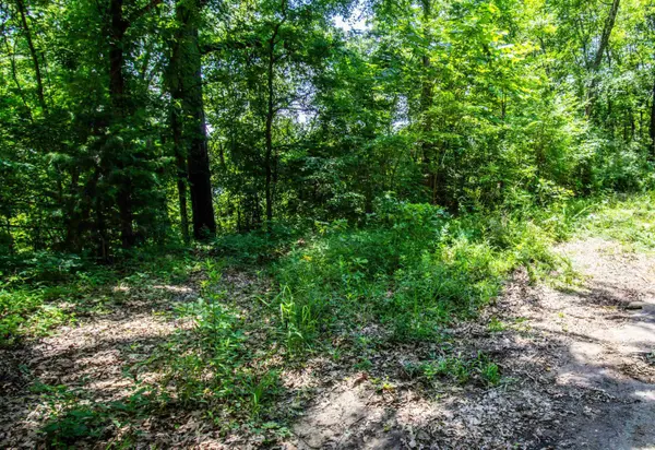TBD Spring Drive, Jefferson, TX 75657