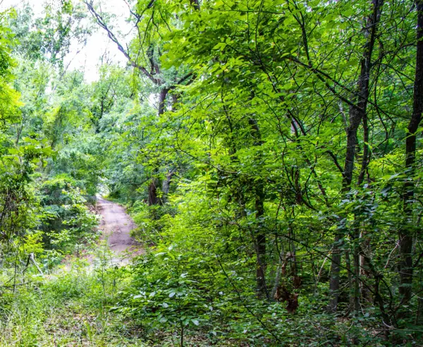 TBD Spring Drive, Jefferson, TX 75657