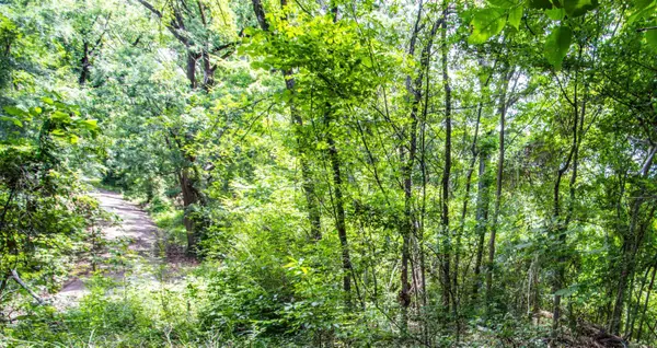 TBD Spring Drive, Jefferson, TX 75657