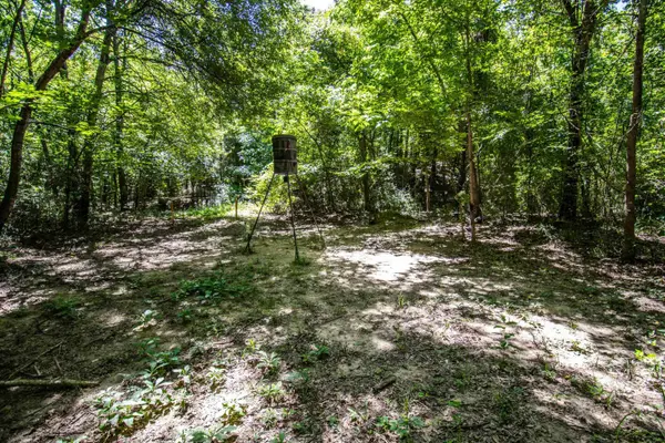 TBD County Road 2185, Tatum, TX 75691