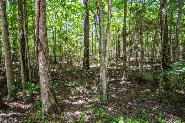TBD County Road 2185, Tatum, TX 75691