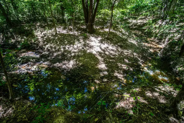 TBD County Road 2185, Tatum, TX 75691