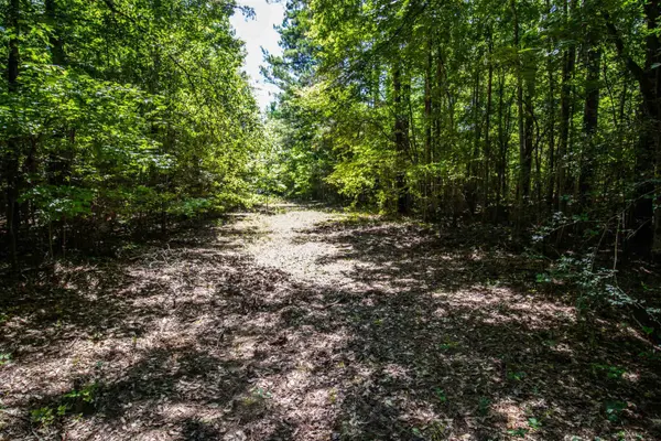 TBD County Road 2185, Tatum, TX 75691