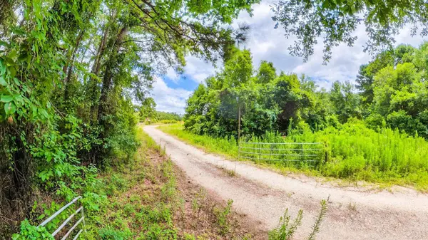 TBD County Road 307, De Berry, TX 75639