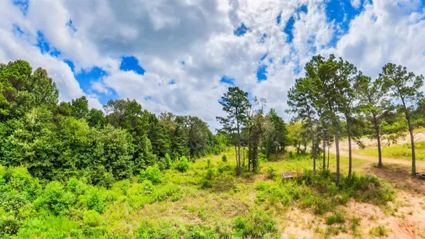 TBD County Road 307, De Berry, TX 75639