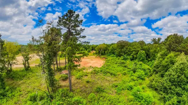 TBD County Road 307, De Berry, TX 75639