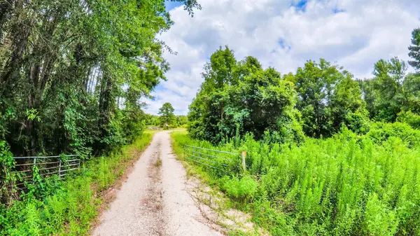 TBD County Road 307