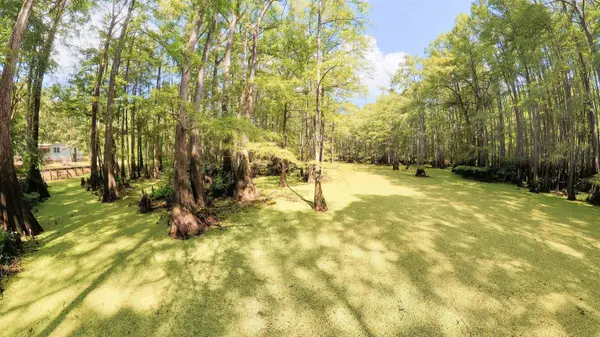 251 E Longs Camp Rd, Karnack, TX 75661