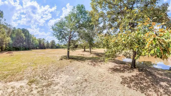 587 Floyd Evans Rd, Elysian Fields, TX 75642