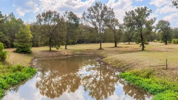 587 Floyd Evans Rd, Elysian Fields, TX 75642
