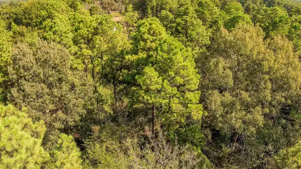 TBD WATER LILY RD, Gilmer, TX 75644