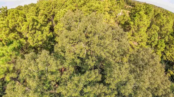 TBD WATER LILY RD, Gilmer, TX 75644