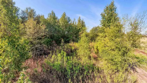 TBD WATER LILY RD, Gilmer, TX 75644