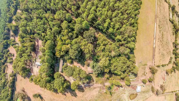 TBD WATER LILY RD, Gilmer, TX 75644